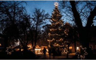 Waldweihnachtsmarkt Diele Niehaus- Waldemars Welt-